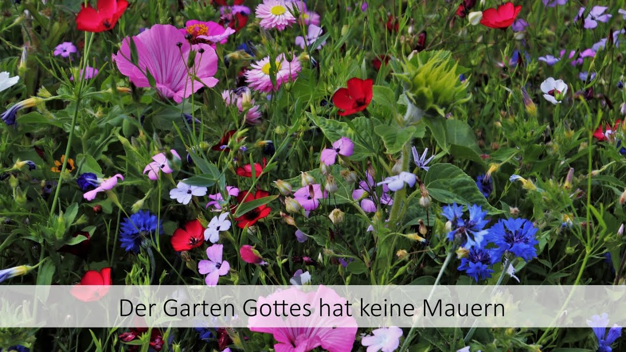 Der Garten Gottes hat keine Mauern Ein neues Lied zum Sonntag Kantate