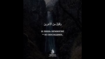 احسن تلاوة بصوت الشيخ عمير شميم