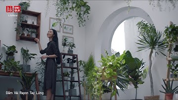 Nâng Chuẩn Mỗi Ngày cùng UNIQLO- Helly Tống