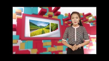 Nước rửa chén an toàn chiết xuất thiên nhiên Senny