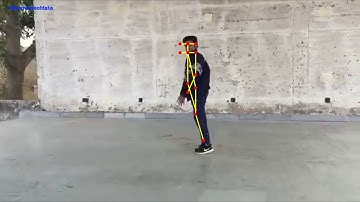 Human Pose Estimation