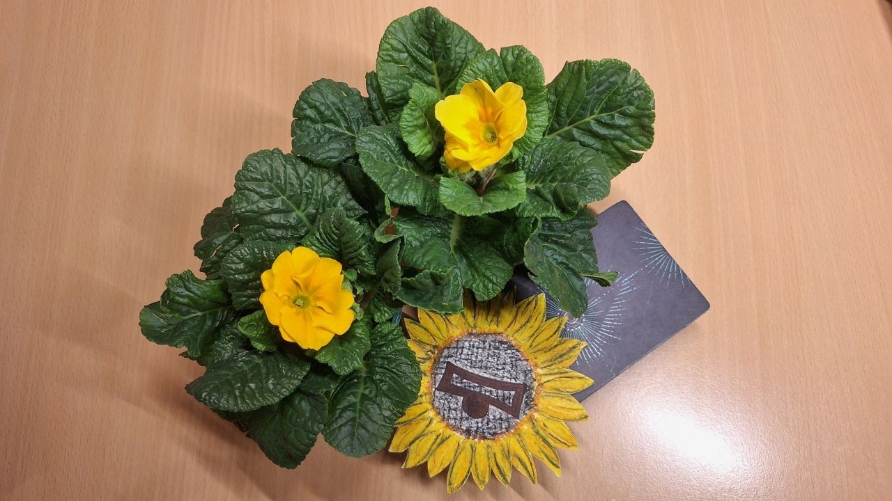 🌻💖 Váhy ♎ březen 2026 - Neházejte flintu do žita - stagnace končí, přichází hojnost 🙏🌼🌺💖🌻