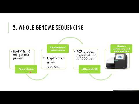 Video: Sekuensing Genom Utuh Dan Analisis Filogenetik Dari Strain Metapneumovirus Manusia Dari Kenya Dan Zambia