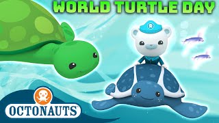 ​@Octonauts   Turtle Rescues ⛑ | One Hour Special! | Underwater Sea Education