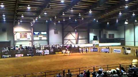 Bull riding chase