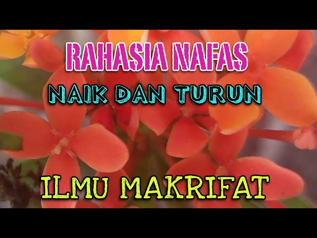 Rahasia Nafas Naik dan Turun Ilmu Makrifat class=