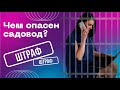 Можно ли покупать китайский товар с Садовода? Товарный бизнес с Китаем на маркетплейс Wildberries