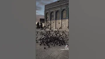 اللهم اسعد احبابي ومن بينهم سالي ويوسف الله يحفظكم 