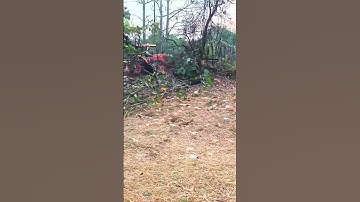 Tractors push trees in the village #shorts #tracting #tractor #push
