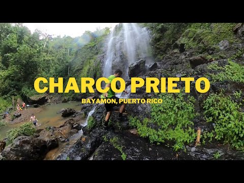 Charco Prieto | Bayamón | Puerto Rico | GoPro Max