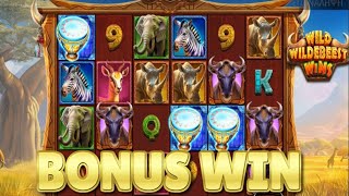 Famous Wild Wildebeest Wins  - Bonus Win Net Worth