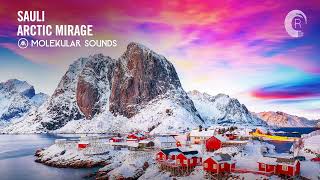 Sauli - Arctic Mirage [Molekular Sounds] Extended