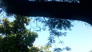 Clima tempo Rj 29 de junho Céu Natureza muito lindo