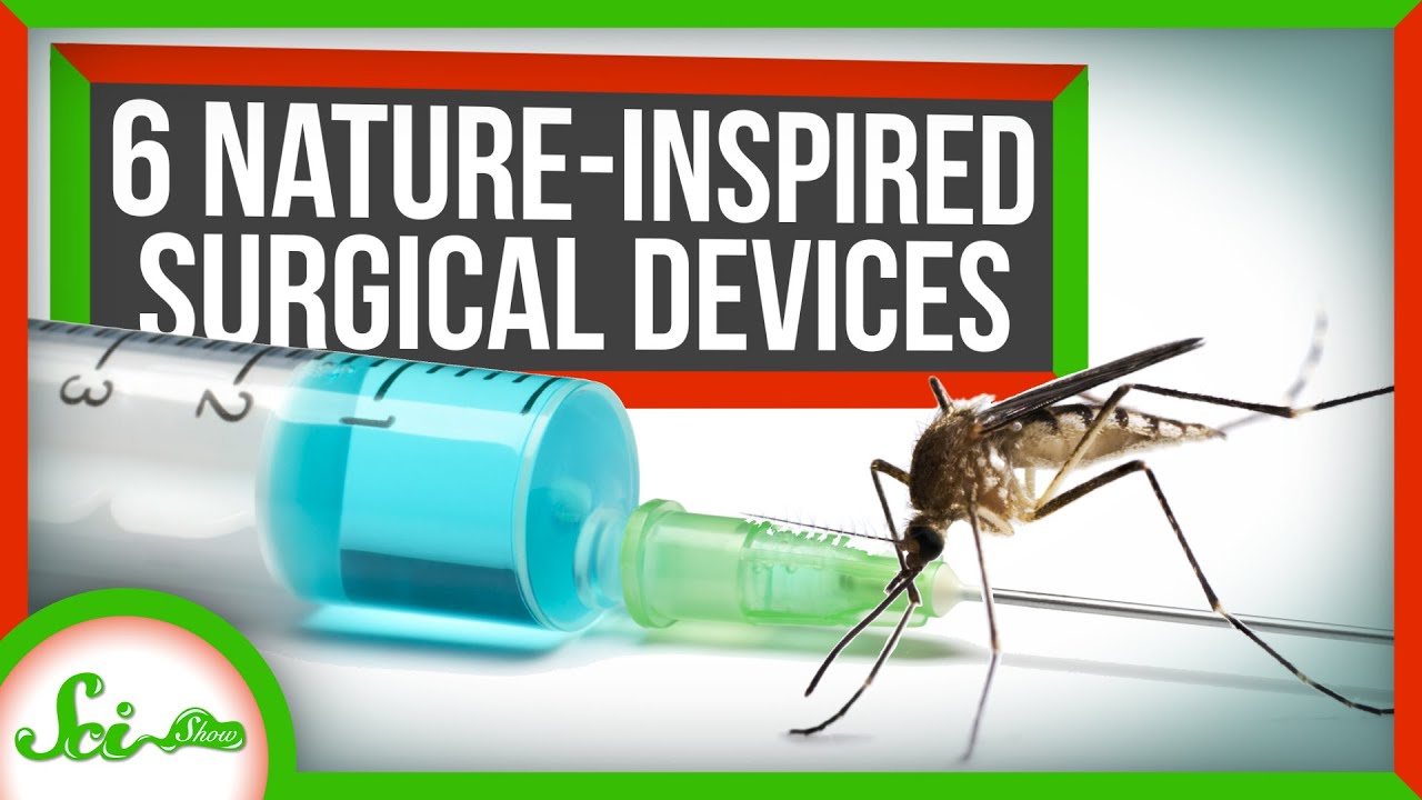 6 Surgical Devices Inspired by Nature