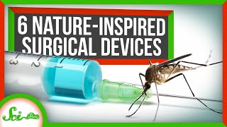 6 Surgical Devices Inspired by Nature