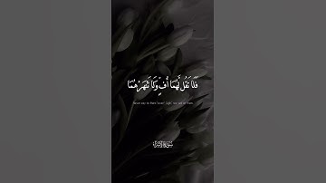 وقل ربِ ارحمهما كما ربياني صغيرا 🤍🌿 #اسلام_صبحي #قرآن_كريم #تلاوات_خاشعة #تلاوات #قرآن #تلاوة