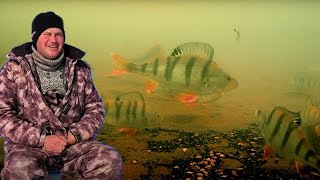 видео: Тонны рыбы подо льдом .Рыбалка в теплом Чуме. картинка: Тонны рыбы подо льдом .Рыбалка в теплом Чуме.