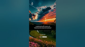 سورة الشمس بصوت القارئ زيد الزبيدي