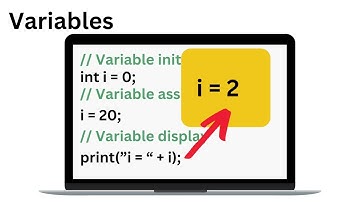 How To Learn Programming | Learn coding for beginners (In Less Than 5 Min!)