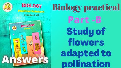Study of flowers adapted to pollination class 12 biology practical answers