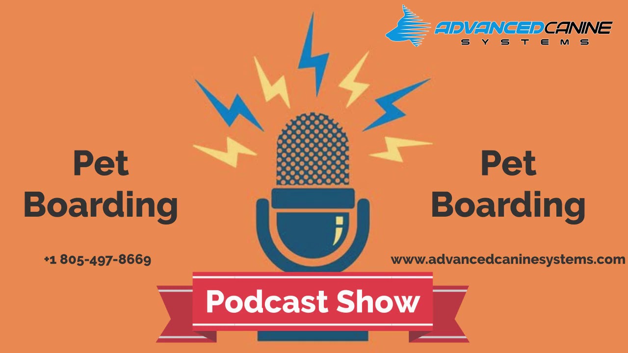 Professional Pet Boarding Service Provider in Westlake Get Exemplary