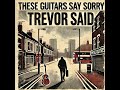 Where English Roses Grow – These Guitars Say Sorry (acoustic folk, poetic singer songwriter)