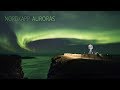 Nordkapp Auroras (4K TIMELAPSE)