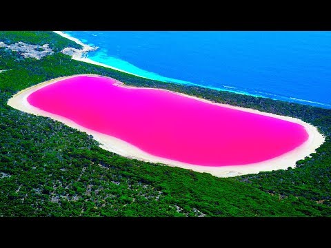 Vídeo: ¡No Tocar! Secretos De Un Lago Rosa Que Cambia De Color - Vista Alternativa
