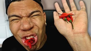 HOTTEST PEPPER IN THE WORLD (2,000,000 SUBSCRIBER SPECIAL)