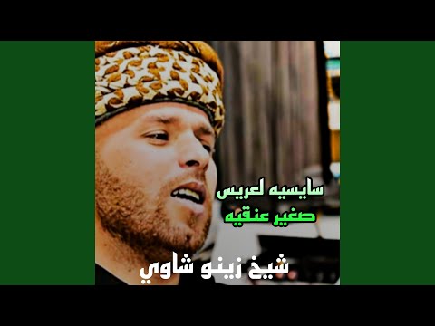 سايسيه لعريس صغير عنقيه