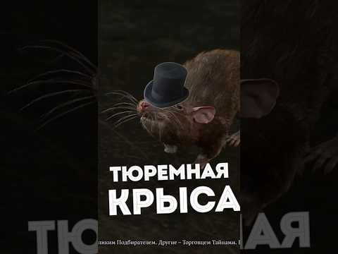 🐀КРЫСА ТОРГОВЕЦ?🎩 СЕКРЕТНЫЙ NPC BALDUR'S GATE 3!