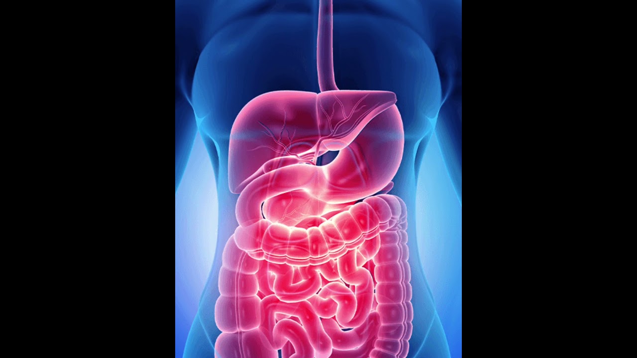 Alpha liv liver tonic benefits and uses in hindi 