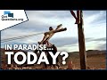 What Did Jesus Mean When He Said Today You Will Be With Me In Paradise GotQuestions Org 