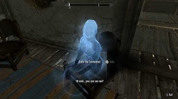 Custom-Voiced Follower(TEST)