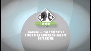 Интересные факты по школьным предметам. Биология. Факт 5-й Интересные факты по школьным предметам. Биология. Факт 5-й