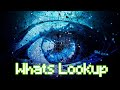 whatslookup OSINT gathering for whatsapp and whatsapp business