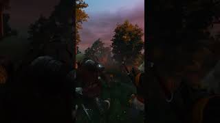 Now Thats Called A Perfect Head Shot Witcher 3