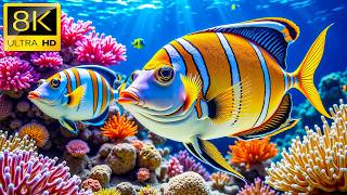 Ocean Wildlife 8K | Peaceful Ocean Documentary | Calm Underwater Wildlife | Relaxing Piano Sounds #2 screenshot 3