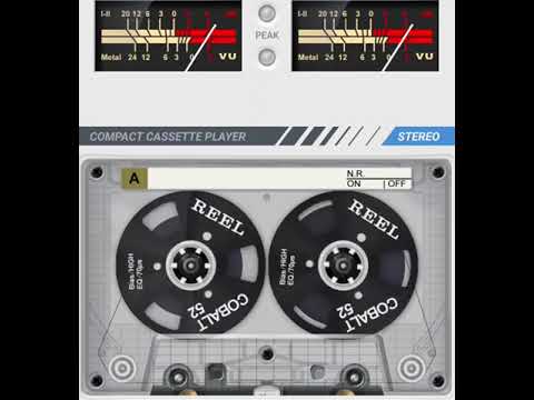 محمود العامري كلت ياناس شنو الحل