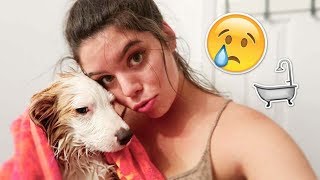 IM SORRY PUPPY!