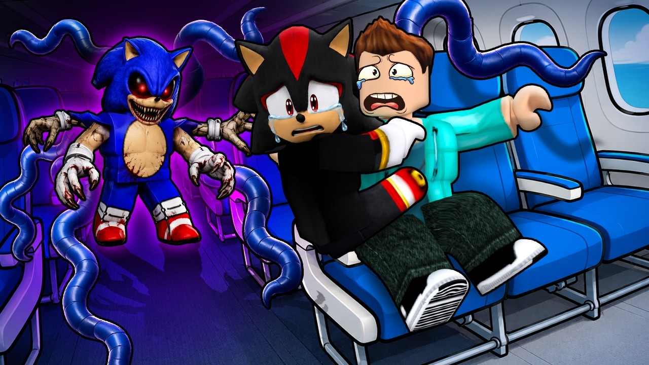 I GOT ATTACKED WITH CURSED SONIC ON AN AIRPLANE !!