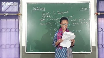 Class-3-Science-Chapter-4-Common Insects-Part-1-Social-Insects