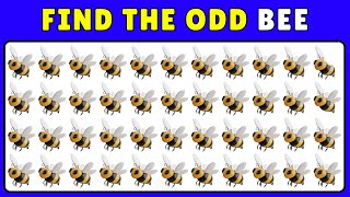 HARD LEVEL!🤯 Only Find 1 Difference | Brain Games Puzzle FOCUSED screenshot 4