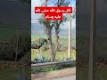 اللهم صل وسلم وبارك على سيدنا محمد Shorts Shortvideo Trending Explore شورت ستوريات احاديث