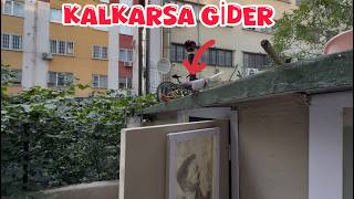 ANTİKA SAKIN KAÇMA ( BU KUŞ TAKLADAN İNEMEZ GİDER )