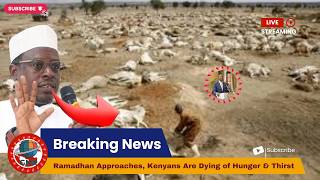 Asal Counties Crying For Help. Who Is Listening? Declare A National Emergency Now