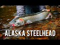 72 hours fly fishing for steelhead in the tongass national forest  steelhead chronicles
