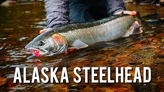 72 Hours Fly Fishing for Steelhead in the Tongass National Forest | Steelhead Chronicles