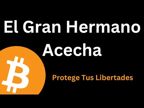 CBDCs, VIGILANCIA Y LADRILLO