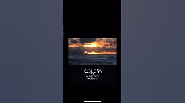 تلاوة الشيخ محمد اللحيدان